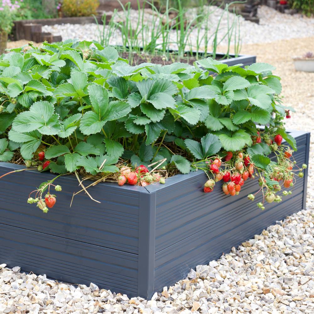Rhino Aluminium Raised Bed 2ft x 4ft - Double Tier